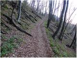 Stahovica - Gradišče (Velika planina)